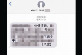 保亭为什么选择专业追讨公司来处理您的债务纠纷？