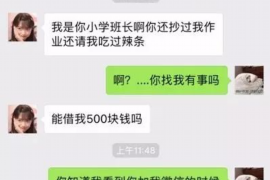 保亭保亭的要账公司在催收过程中的策略和技巧有哪些？